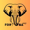 fortuna.1027