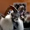 a_3erto