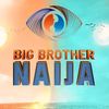 bigbrotherseason9infobuz