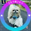 kinako021823