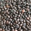 otak.kopi25