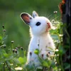 xlove.linax