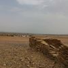 almrree1