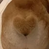 xxtito_otitsxx
