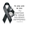 51270224arlota