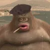 jaappii