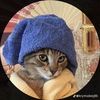 ahshitboy