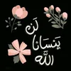 user96523252