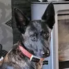 lifewithluna7