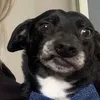 jsandtr
