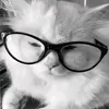 andrewlepetitchat