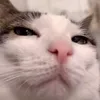 xxmarikakxx