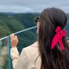 michcordeiro