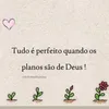 nize_carvalho11