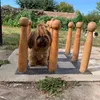 .fanni.panka.nala