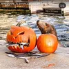 pipsnbells