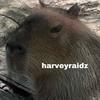 harveyraidz