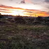 andrehennig0