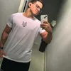 danielbrito534