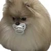 mmiinnttoor