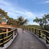 cuti1706