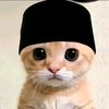 nepphiii