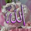 user62240138