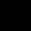 anss272