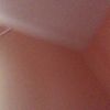 .baileesbestfriend