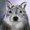 apoghost0307