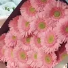 lynlyn040473