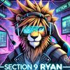section9_ryan