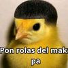23pollito23