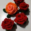 แม่เปิ้ลทีน่าพาMa Hug Crochet