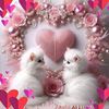 sosomohamed983