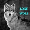 lonley_wolf1