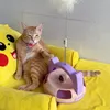 accclonehonghot