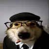yosoypedrohenrique