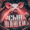 sinshlyxi666.by