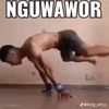 vinojawa46