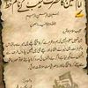 muntazir.mehdi931