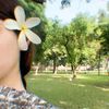 fall_ing__star