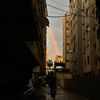 omar.y.hammoud