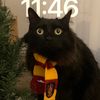 slcbooknerd162