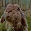 maisy._0