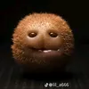 ribaspar