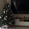 alicecatalinaandy
