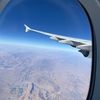 iam_lionesstravel