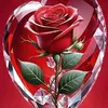 user60323216260684
