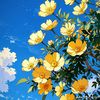 mari_170896